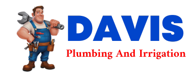 Trusted plumber in NEY